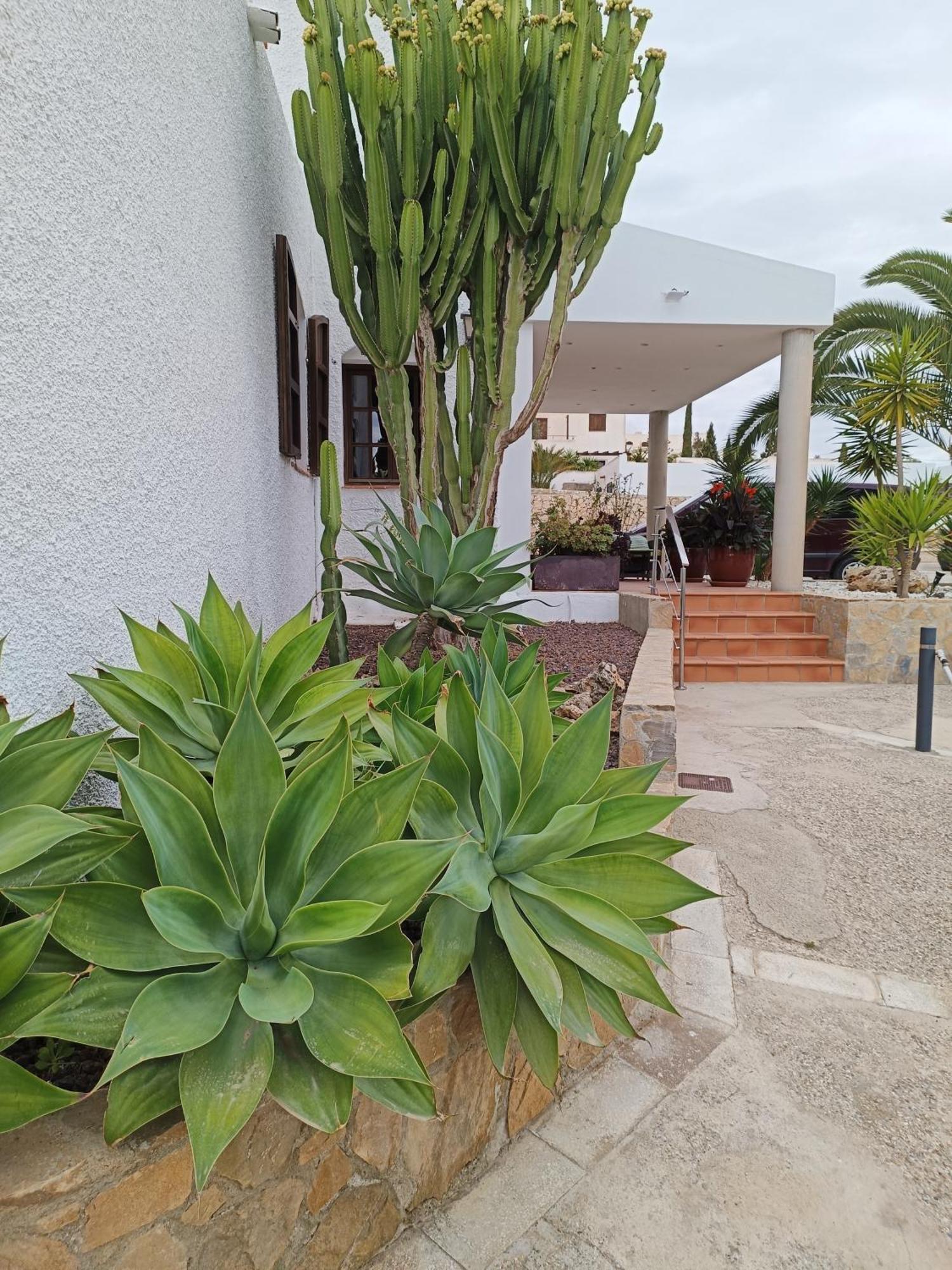 Family Agua Amarga Ξενοδοχείο Agua Amarga  Εξωτερικό φωτογραφία